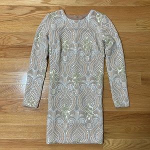 Dress the Population Sequin Dress